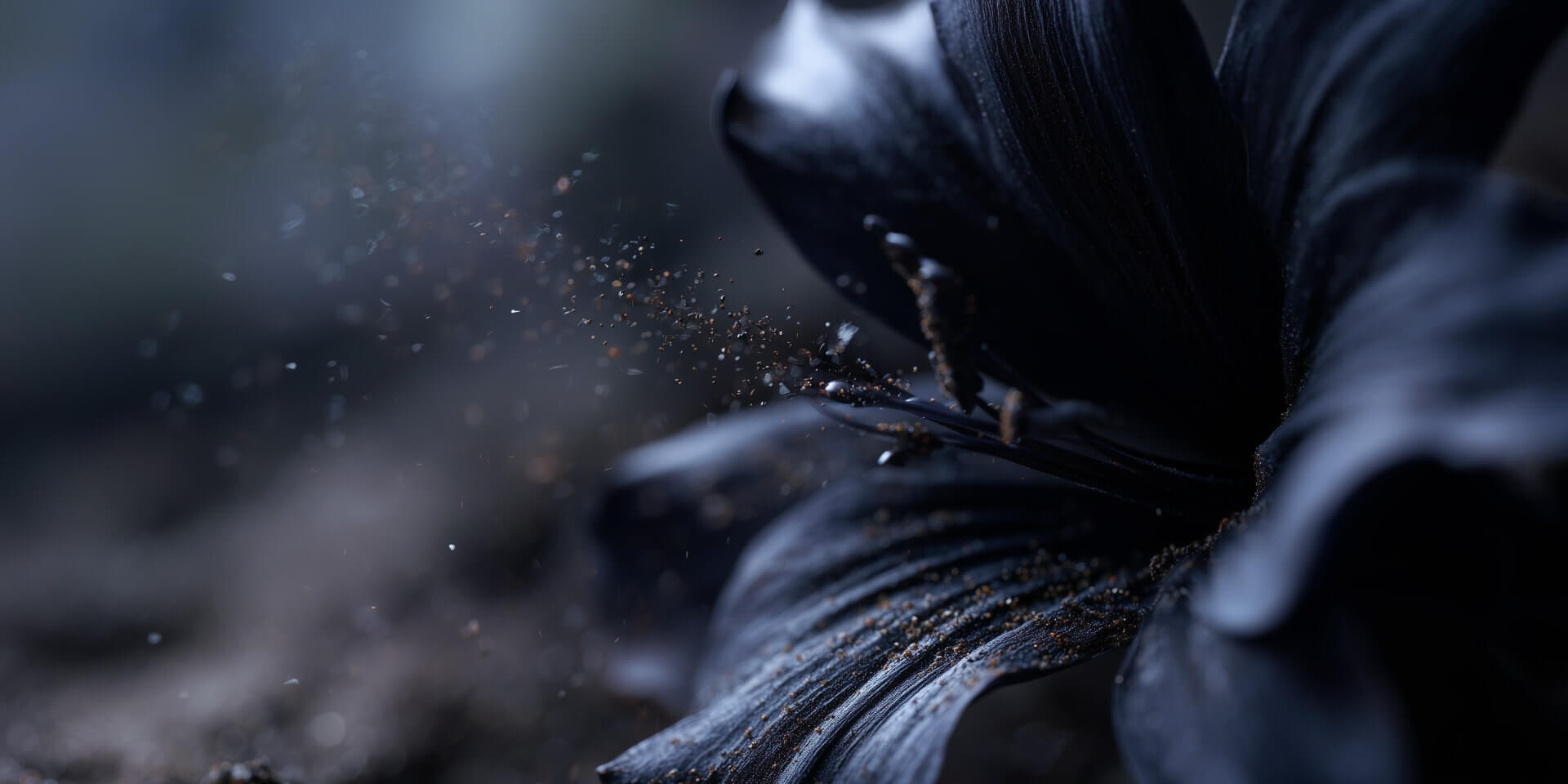 _MirageV9-images (0-00-20-05)