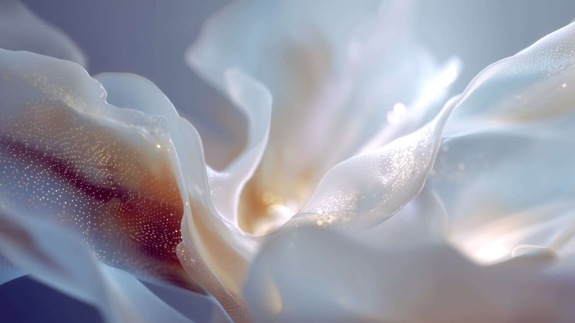 __Grow2-frames 2 (0-00-01-22)