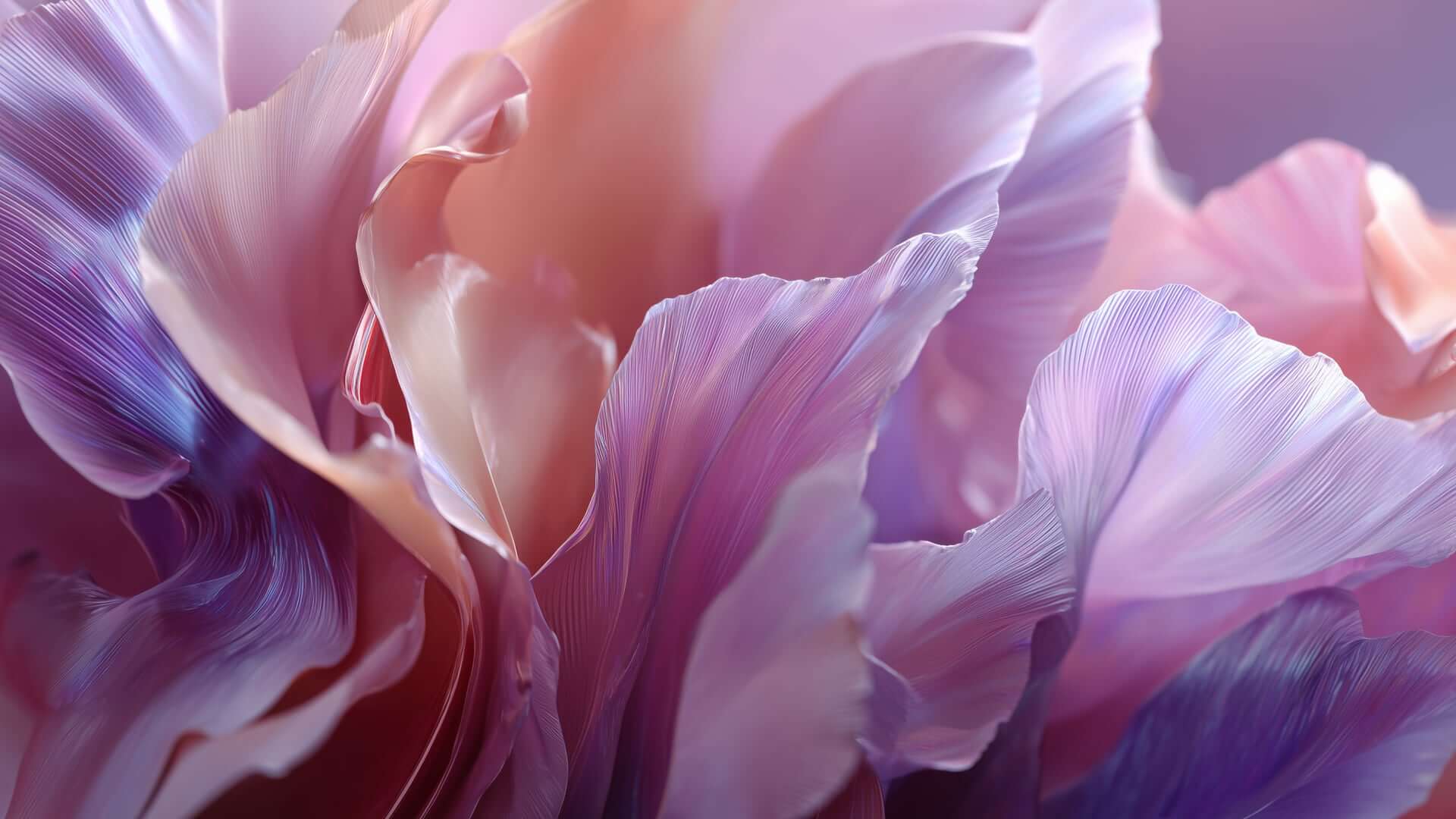 __Grow2-frames 2 (0-00-03-01)