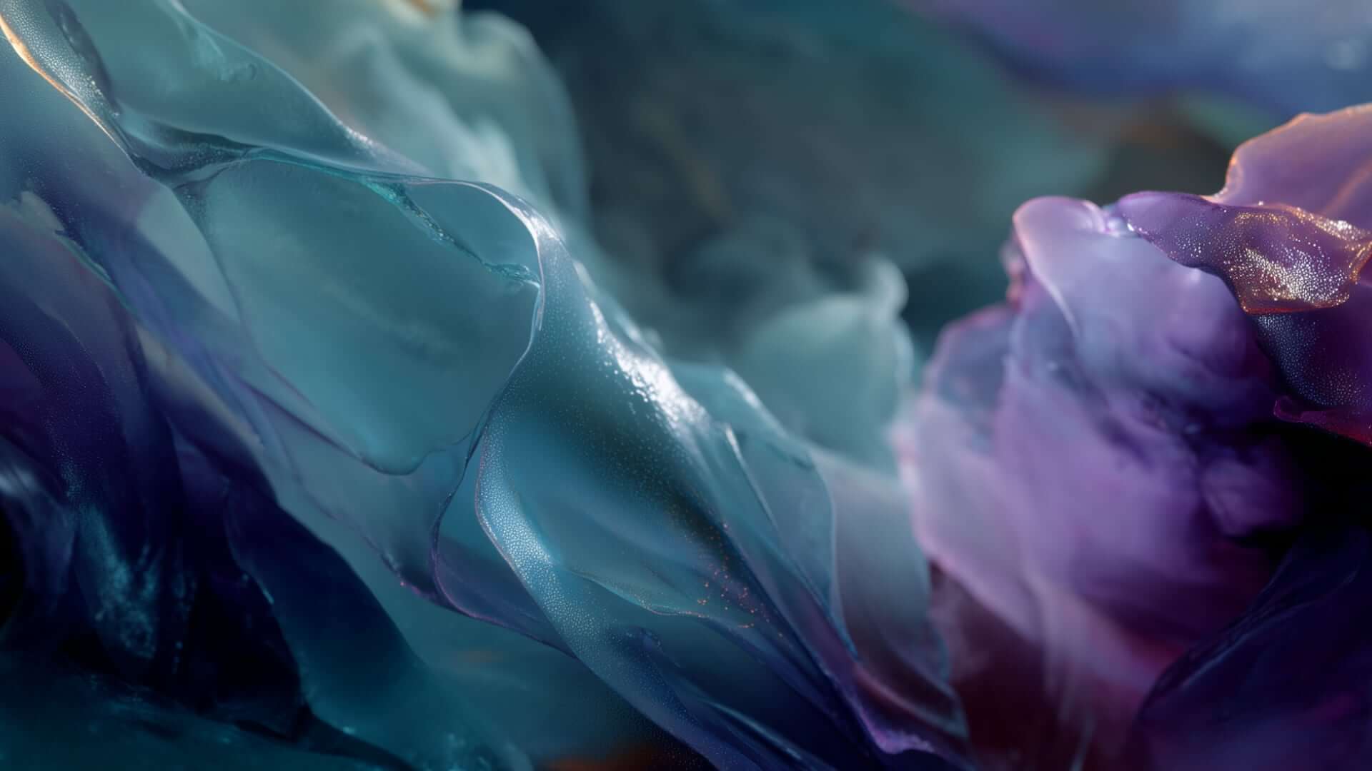 __Grow2-frames 2 (0-00-03-07)