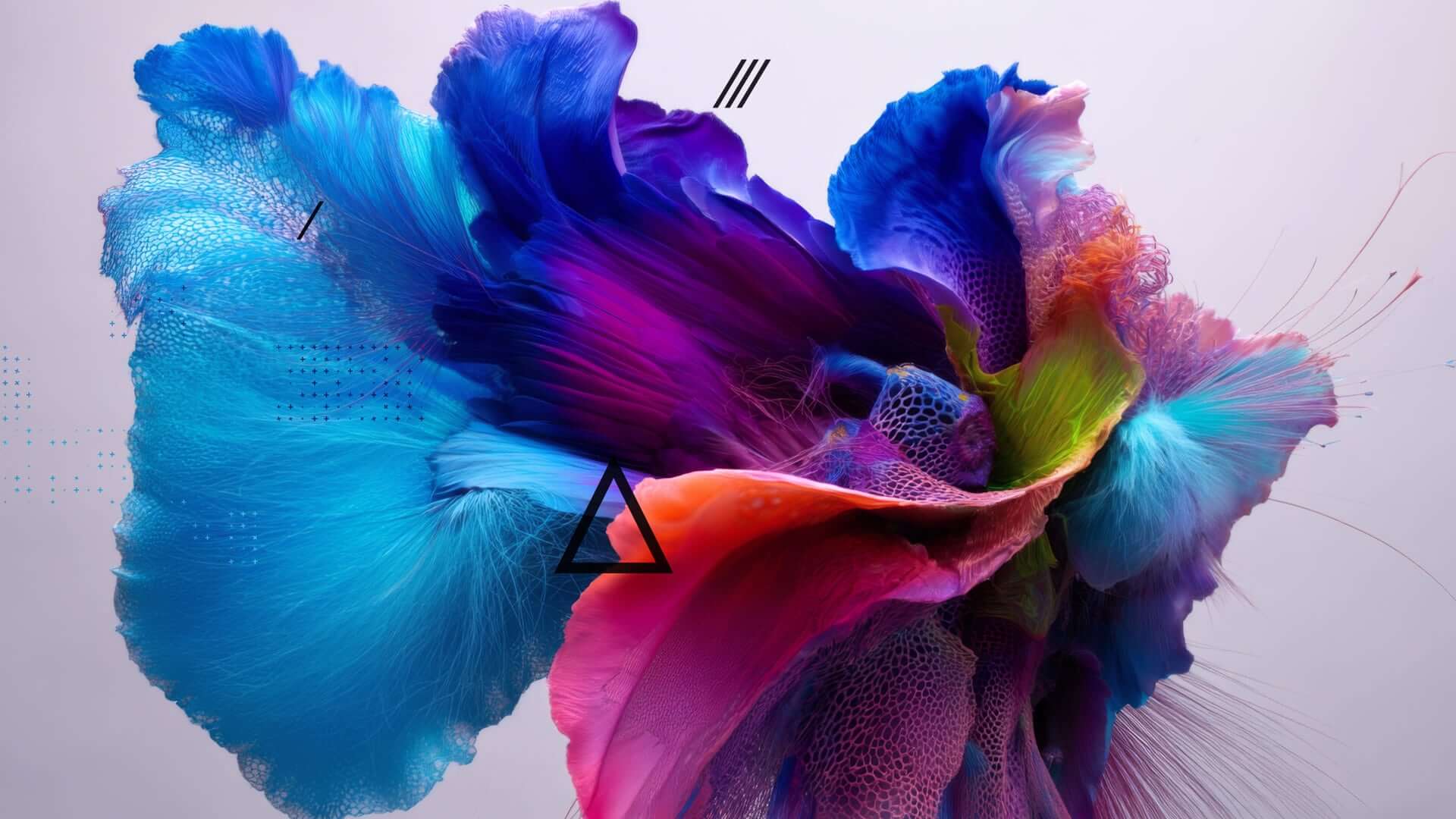 _Anomalies-frames (0-00-33-20)
