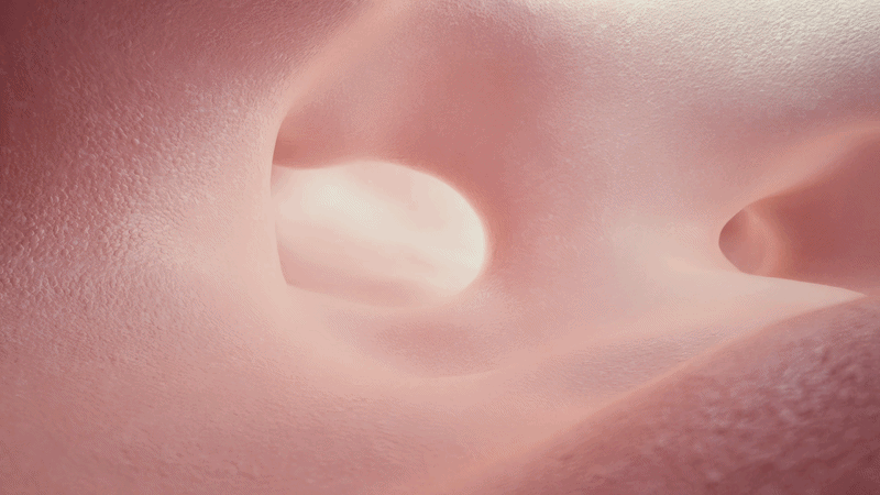 Tediber-gif2