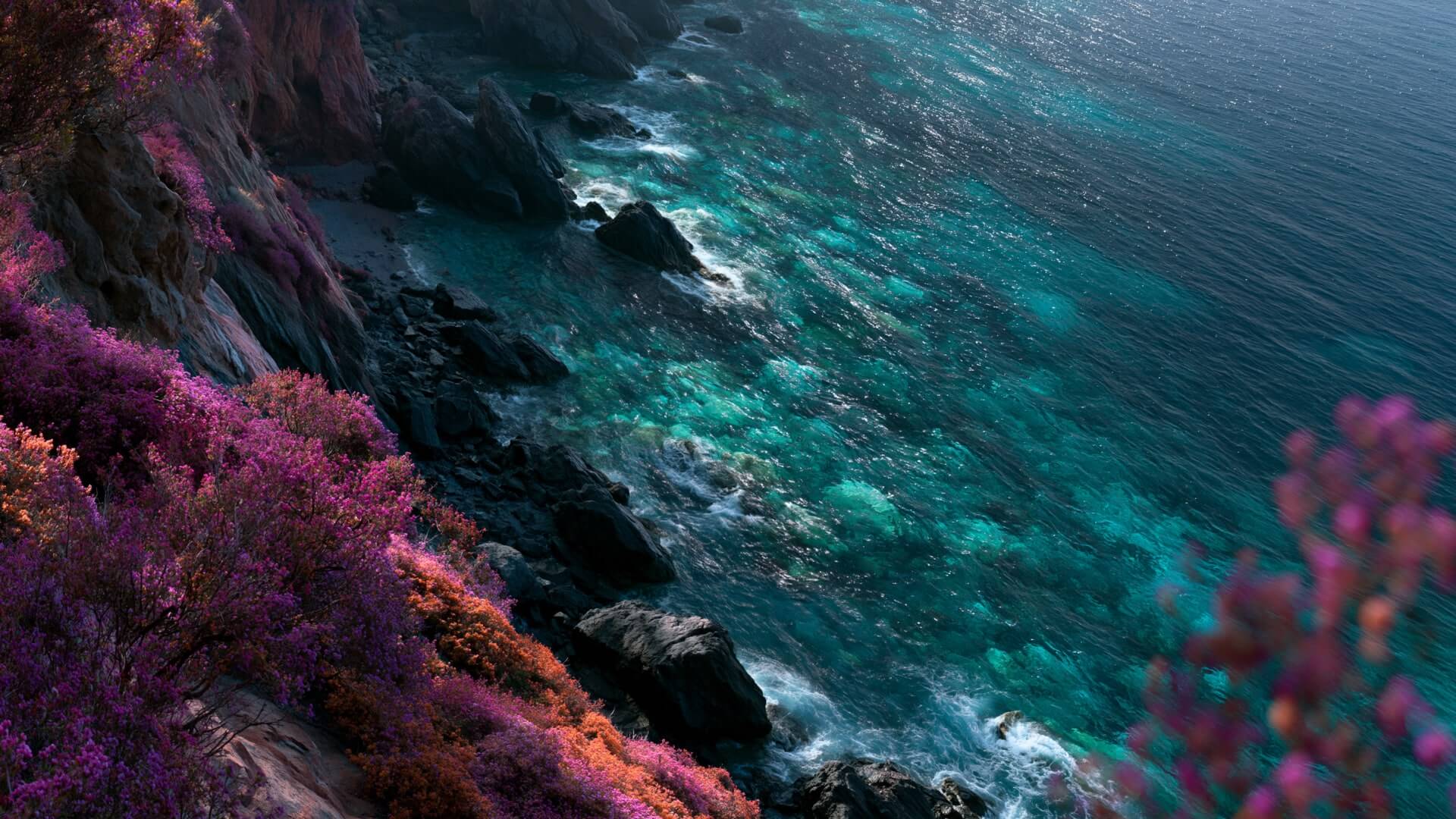 _Paradise6-high-frames (0-01-35-20)